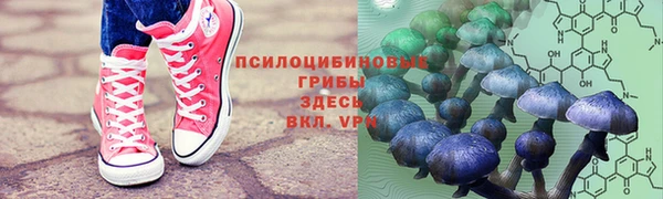 кокаин колумбия Анжеро-Судженск